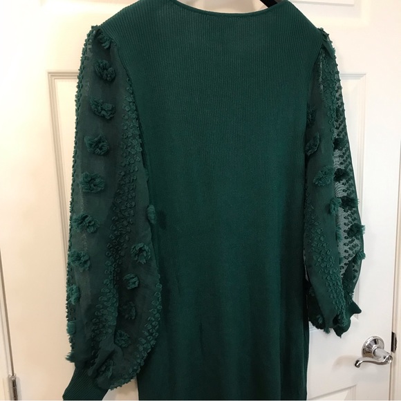 Hunter Green Sweater Dress 4X, Long Sleeve Swiss Dot Sheer Sleeve, Stretch Knit - Picture 5 of 14
